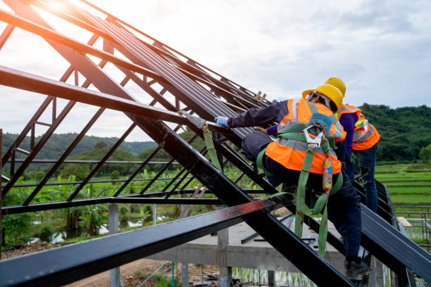 Roof Waterproofing Services in Washoe Valley, NV