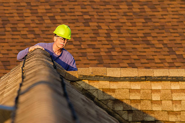 Best Roof Gutter Cleaning  in Washoe Valley, NV